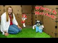 Assistant Hunts for Paw Patrol Marshall and PJ Masks in Box Fort City