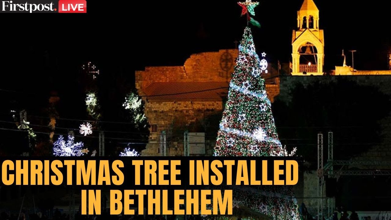 Christmas 2025 LIVE: Palestinians Light up Christmas Tree in Bethlehem