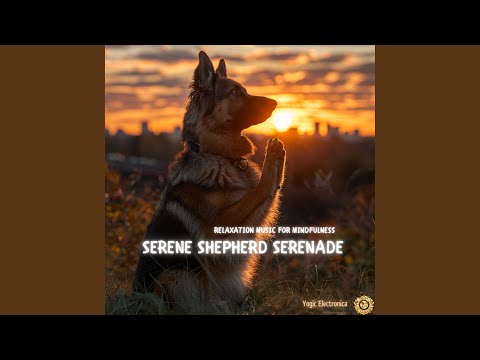 Zen Dog's Tranquil Twilight