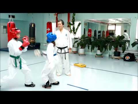 Advanced TaeKwonDo Children free sparring