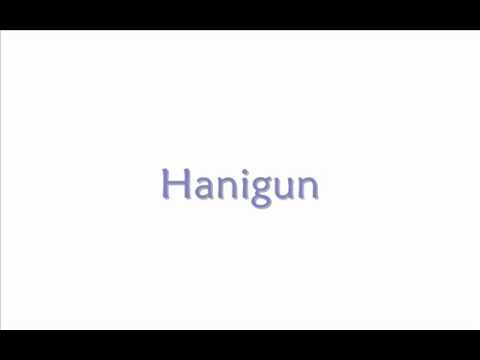 Hanigun