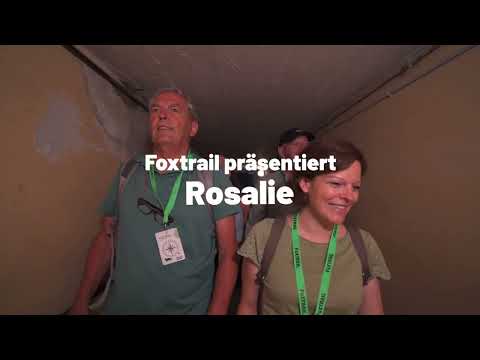 Foxtrail Rosalie: Löst die spannende Geschichte um einen Fuchsroboter in Winterthur!