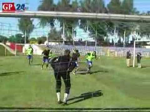 Pierwszy terning Gryfa