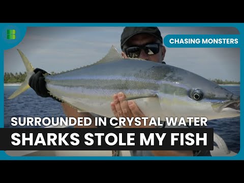 Shark Sanctuary Mission Gone Wrong in Fakarava | Chasing Monsters