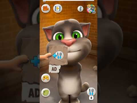 Talking Tom |#dfm tom singer