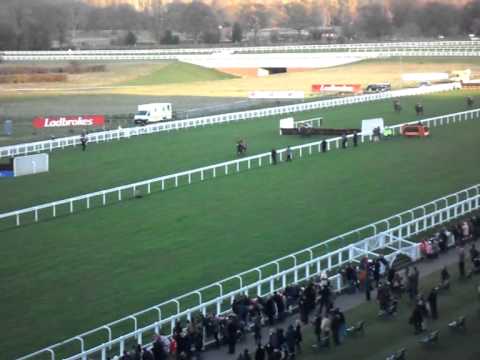 2011 Long Walk Hurdle finish