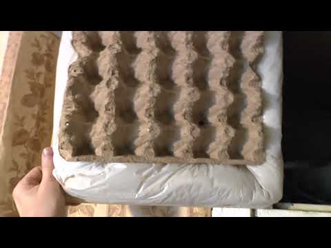 Можно ли майнить на ASIC в квартире? Шумоизоляция Асика!