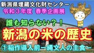 新潟県埋蔵文化財センター 春季企画展 誰も知らない?!新潟の米の歴史 ①稲作導入前-縄文人の主食-