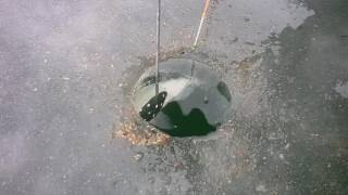 Рыбалка на весёловском водохранилище зимой