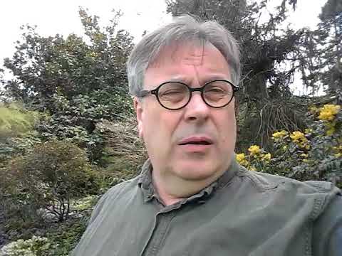 Depression Ep 107:  I am giving up involvement in politics