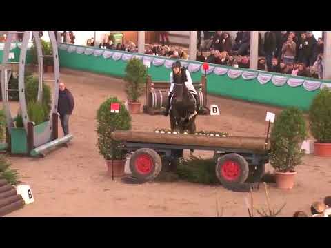 Vanessa Bölting Siegesritt mit Carlson B 2 in Gahlen