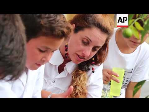 download lagu mp3 mp4 Sol Cups Nz, download lagu Sol Cups Nz gratis, unduh video klip Sol Cups Nz