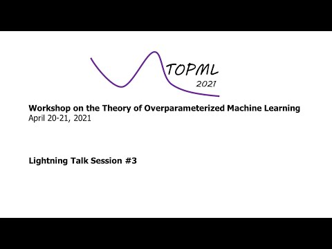 TOPML Workshop 2021: Lightning Talk Session #3