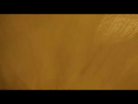 Disfruto 🖤-Kevin The Diamond💎