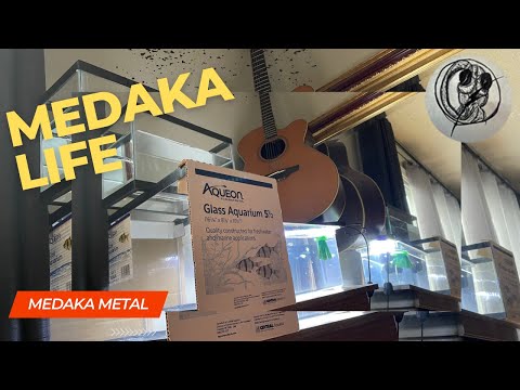 【MEDAKA】petco Aquarium Tanks for Medaka RIceFish Nano Fish【メダカ】【RiceFish】【MedakaMetal】