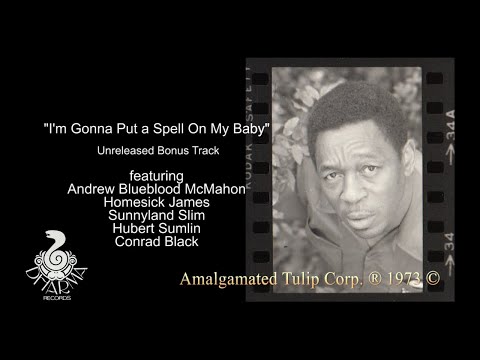 Andrew Blueblood McMahon, Hubert Sumlin, Sunnyland Slim - I'm Gonna Put A Spell on My Baby