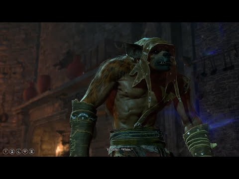 Baldur's Gate 3 - Linsella & Barnabus