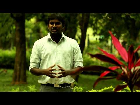 Bola De Neve India Christmas Fest