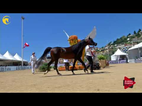 Menton 2017 - Class 10