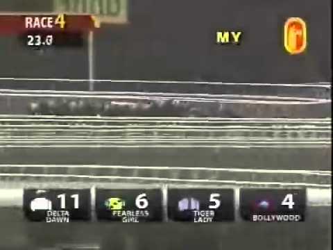 20101023 KL  NATIONAL STUD FARM MAIDEN 1200M (SC) - TIGER LADY (S Mutaza)