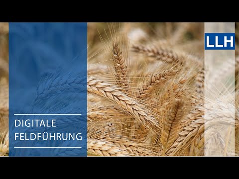 Digitale Feldführung: Wintergerste - Die neuen Sorten im Landessortenversuch (mehrzeilig)