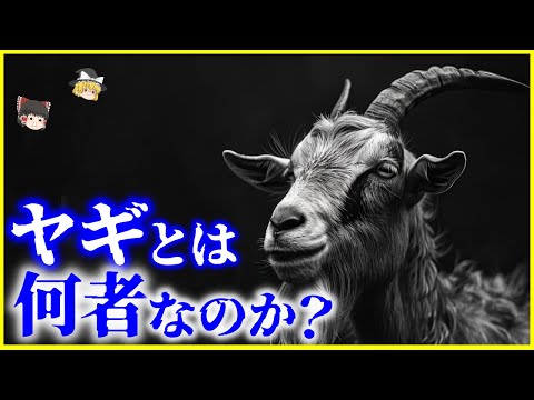 Mygalomorphaeについて詳しく解説