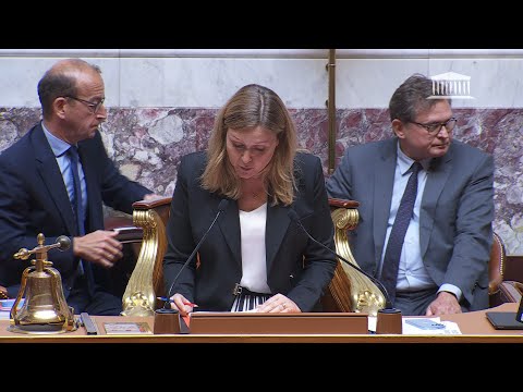 France lawmaker suspended for waving Palestinian flag | AFP