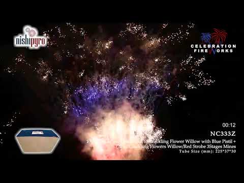 NC333Z   Tropical Storm