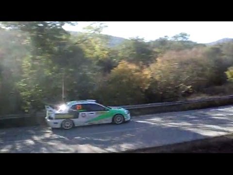 Rally Hebros 2010 - SS2 Kavakliyka 1