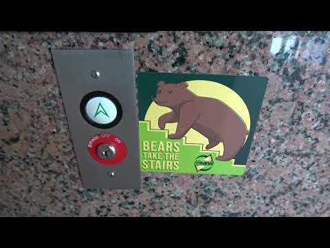 Montgomery/US Traction Elevators at Clifton Robinson Tower, Baylor University in Waco, TX.