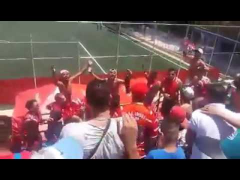 Mais Uma Vez A PAVIL CURTO Fazendo A festa