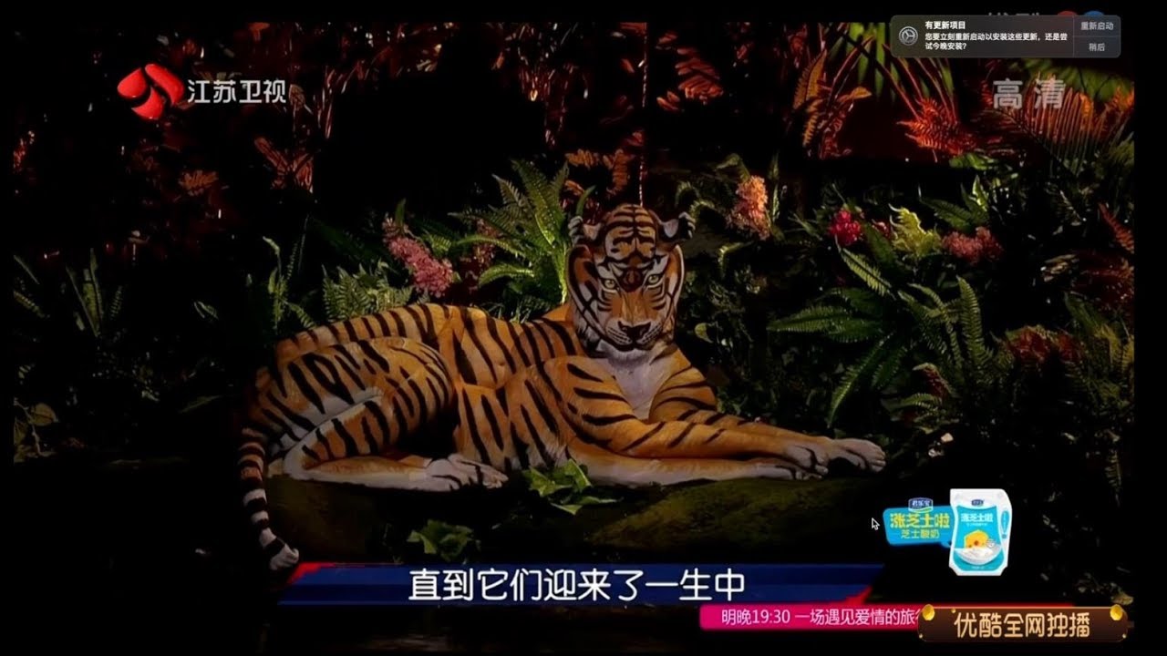 Animal Illusions by Johannes Stoetter on Chinese Talent Program BEYOND SHOW