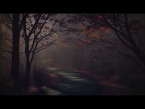 🌧 Upokojujúci dážď v prírode — relaxačné zvuky dažďa pre pokoj a spánok #RainAmbience