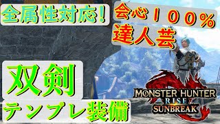 全属性対応！双剣装備の決定版！これ一つあれば他作らなくてよくね？【MHR:SB】
