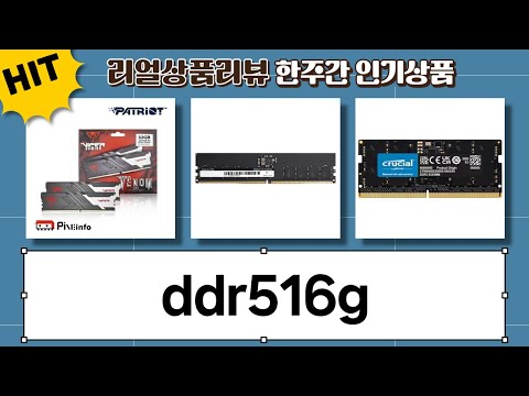 SK 식기세척기급 DDR5 16GB 총집합! 램 성능 비교분석