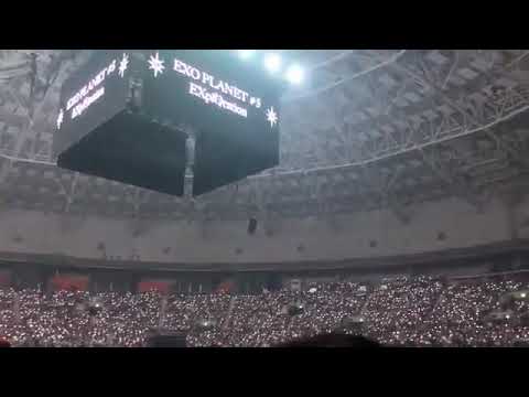 The pretty moment today is EXO-L singing "Monster" together