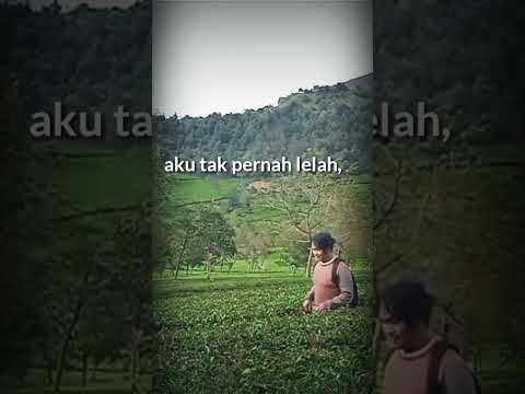 Tentang Perasaan #videoshort #trending #puisicinta #literasi