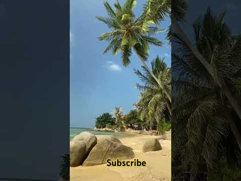 Beauty of beach# shorts#relaxing#sea