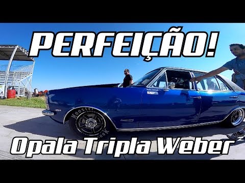 Opala STT#58 - PERFEIÇÃO E IGNORÂNCIA!