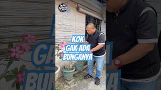 Download lagu Kok Gak Ada Bunganya #lucu #funny #trending mp3