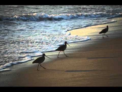 Leo Sayer - Don't wait until tomorrow