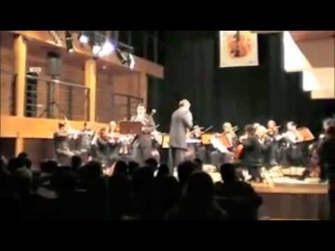 VILLA LOBOS  - CIRANDA - Alexandre Silverio, Bassoon
