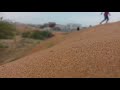Dubai Desert Whatsapp Status