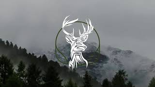 Dear Pressure - Never