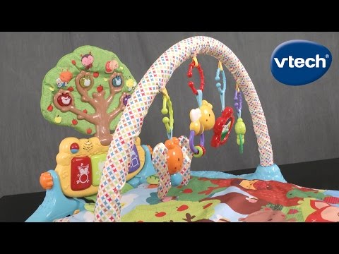 vtech play gym