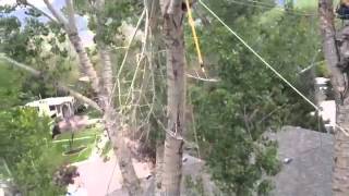 preview picture of video 'Trees inc. roping and rigging dead cottonwood'