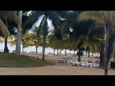 Videos del Riu Palace Tropical Bay 5★ en Negril, JamaicaVer MásVerPrecios22CerrarConsulta por Whatsapp 🇦🇷BookingTripadvisorExpediaAgodaTravelocityOrbitzPricelineTripSkyscannerDespegarKayakHotelesBestdayDestiniaTrivagoTurismocityAlmundoLastminuteHotwireCheapticketsTuiWotif