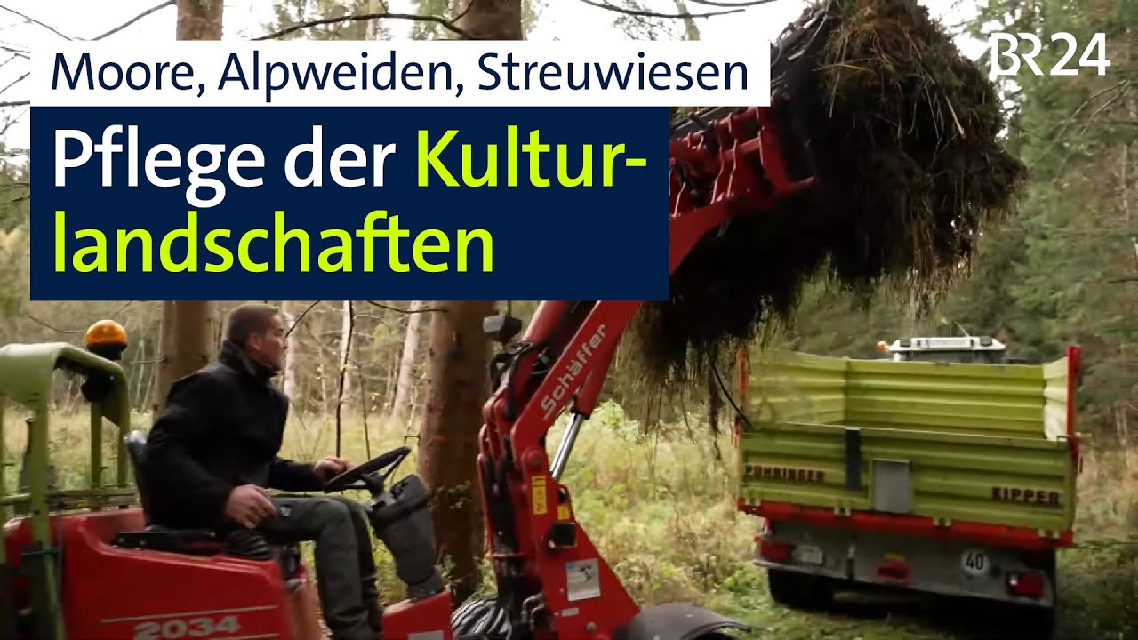 Moore, Alpweiden, Streuwiesen: Geld für die Pflege der Flächen wird knapp | Abendschau | BR24
