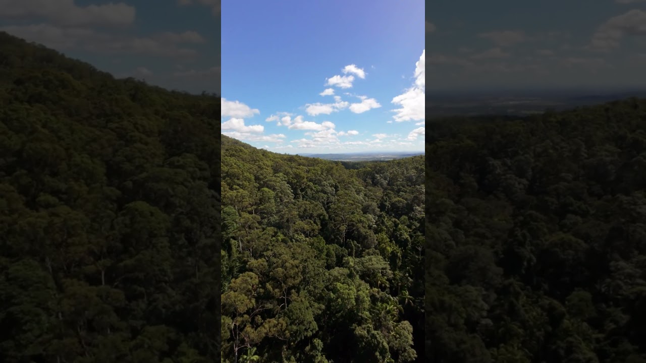 YouTube Short thumbnail