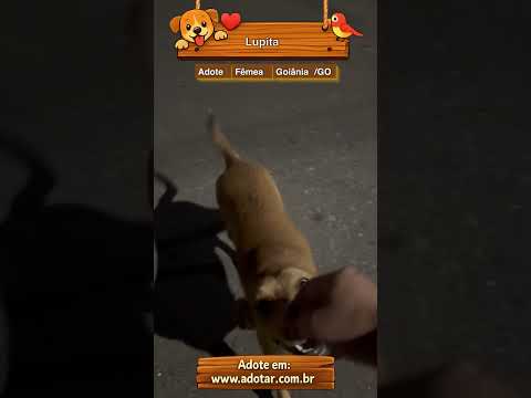 Vídeo de Lupita